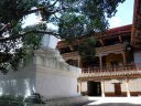 Punakha Dzong