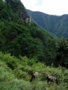 Taktsang Monastery