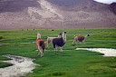 Potosí to Uyuni