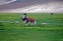 Potosí to Uyuni