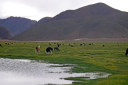 Potosí to Uyuni