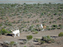 Potosí to Uyuni