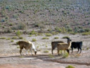 Potosí to Uyuni