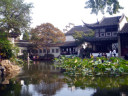 Lingering Garden