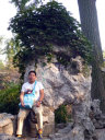 Lingering Garden