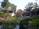 Lingering Garden