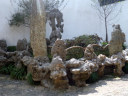 Lion Forest Garden