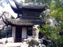 Lion Forest Garden