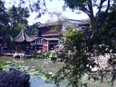 Lion Forest Garden