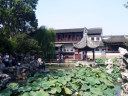 Lion Forest Garden