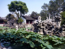 Lion Forest Garden