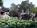 Lion Forest Garden