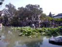 Lion Forest Garden