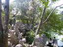 Lion Forest Garden