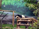 Seac Pai Van Park