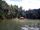 Loboc River Cruise