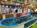 Hakodate Morning Market