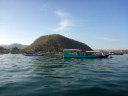 Boat tour to Rinca Island