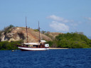 Boat tour to Rinca Island