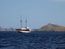 Boat tour to Rinca Island