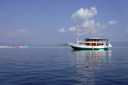 Boat trip to Manta Point