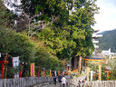 Kumano Nachi Grand Shrines