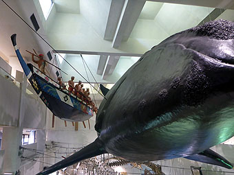 Taiji Whale Museum