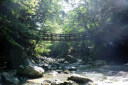 Oku-Iya Niju Kazurabashi (Double Vine Bridges)