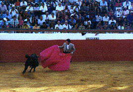 bullfighting in Mijas
