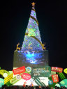 Pattaya Walking Street