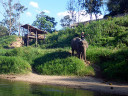 Bamboo Rafting