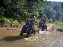 Elephant Riding