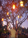 Loy Krathong Festival