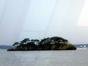 Matsushima Bay Cruise