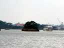 Matsushima Bay Cruise