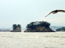 Matsushima Bay Cruise