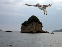 Matsushima Bay Cruise