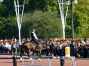 Changing The Guard at Buckingham Palace