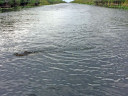 Everglades Holiday Park