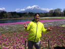 富士芝桜まつり