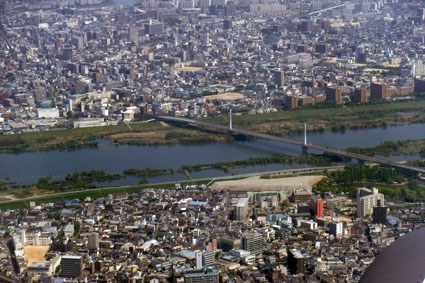 The view of Osaka City from the plane