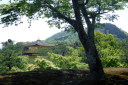 Kinkakuji Temple