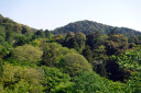 Kiyomizu-dera Temple