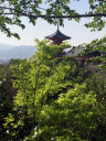 Kiyomizu-dera Temple